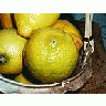 Photo Small Lemon 4 Food