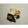 Photo Small Popcorn 6 Food title=