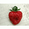 Photo Small Strawberry Glass 1 Food