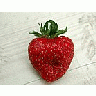 Photo Small Strawberry Glass 1 Food title=