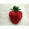 Photo Small Strawberry Glass 5 Food