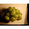Photo Small Vine 2 Food