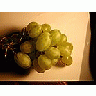 Photo Small Vine 3 Food