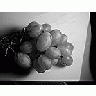 Photo Small Vine 6 Food title=