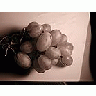 Photo Small Vine 7 Food title=