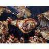 Photo Small Barbecued Chicken Food title=