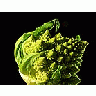 Photo Small Broccoli Food