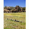 Photo Small Fence Landscape