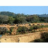 Photo Small Paintball 4 Landscape title=