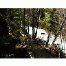 Photo Small Stream Landscape title=
