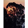 Photo Small Sunrise Tree Landscape title=