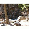 Photo Small Tree Rock Stream Landscape title=