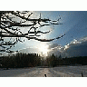 Photo Small Breaking The Clouds On Winter Day Landscape