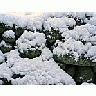 Photo Small Powder Snow On Stone Wall Landscape title=