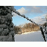 Photo Small Snowy Barbwire Fence Landscape