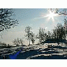 Photo Small Sunshine On Snowy Tree Hill Landscape title=