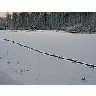 Photo Small Wire Fence 2 Landscape