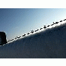 Photo Small Wired Fence Close Up Landscape