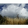 Photo Small Forest 11 Landscape title=