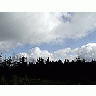 Photo Small Forest 2 Landscape title=