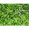 Photo Small Mountain 41 Landscape title=