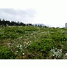 Photo Small Mountain 6 Landscape title=