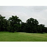 Photo Small Forest 81 Landscape title=