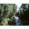 Photo Small River Landscape