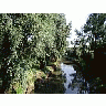 Photo Small River 3 Landscape title=
