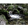 Photo Small Stream 11 Landscape title=
