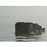 Photo Small Lake Rock In Morning Mist Landscape title=