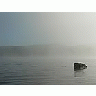 Photo Small Lake Rock In Morning Mist 2 Landscape