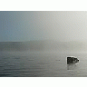 Photo Small Lake Rock In Morning Mist 2 Landscape title=