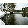 Photo Small Lake Side Landscape