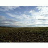 Photo Small Field 1 Landscape