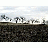 Photo Small Field 15 Landscape