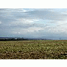 Photo Small Field 2 Landscape