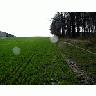 Photo Small Field 22 Landscape