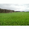 Photo Small Field 23 Landscape