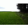 Photo Small Field 25 Landscape