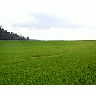 Photo Small Field 26 Landscape