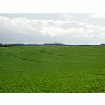 Photo Small Field 29 Landscape