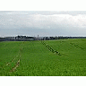 Photo Small Field 30 Landscape