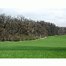 Photo Small Field 32 Landscape