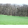 Photo Small Field 34 Landscape