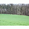 Photo Small Field 35 Landscape