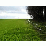 Photo Small Field 37 Landscape