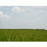 Photo Small Field 49 Landscape title=