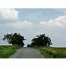 Photo Small Road 3 Landscape