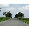 Photo Small Road 4 Landscape